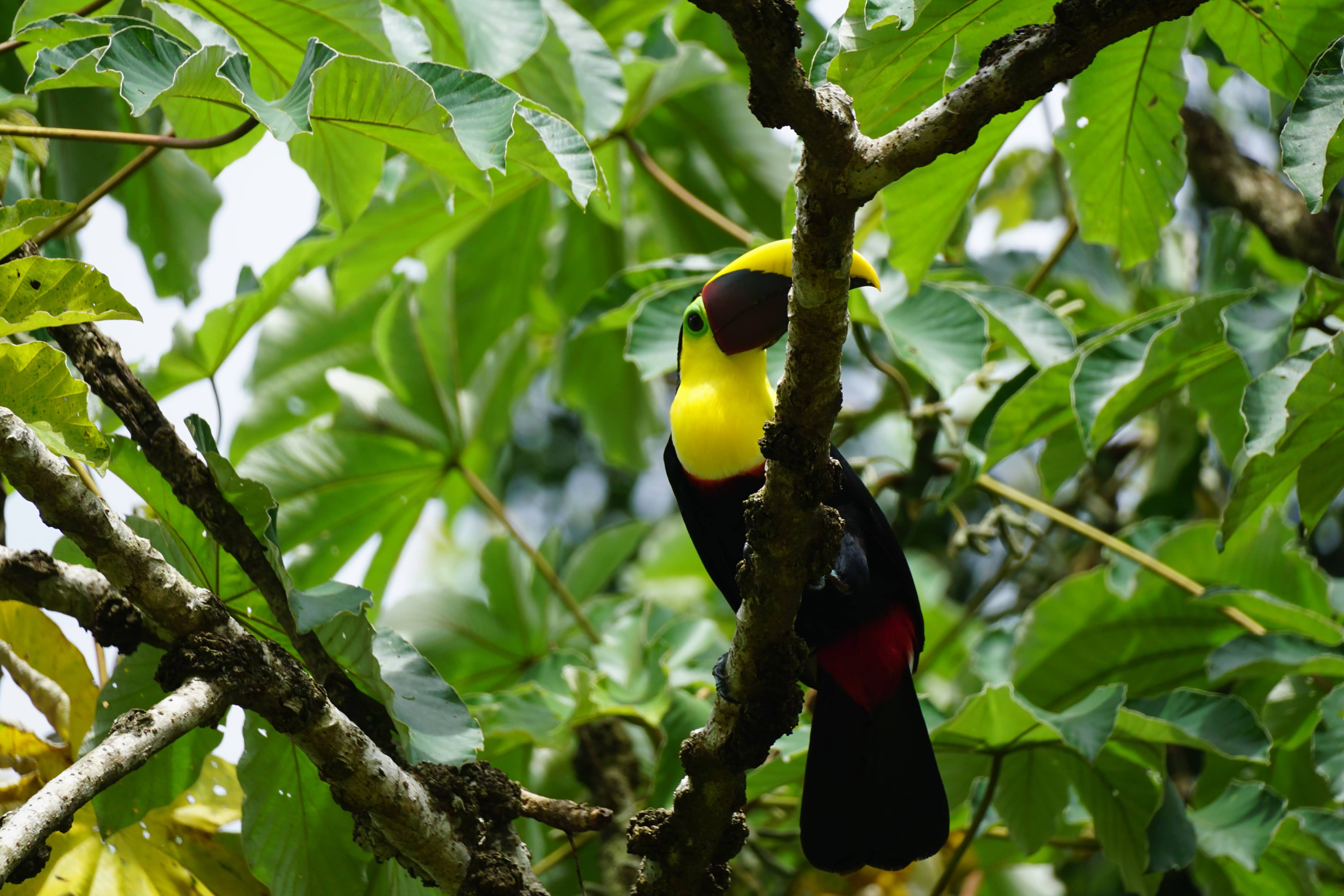 Senderos Naturales